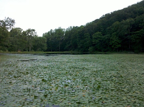 Ghost Lake